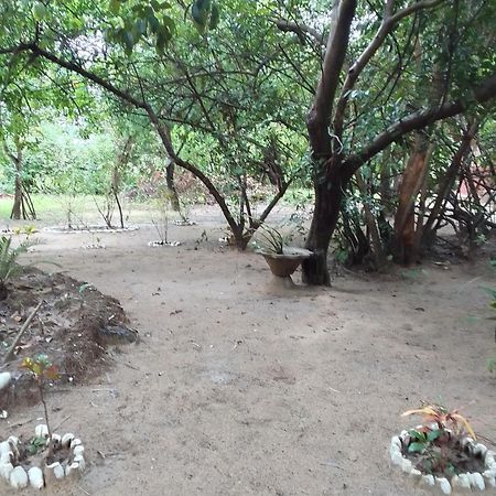 Little Baobab Bed and Breakfast Abémé Exterior foto