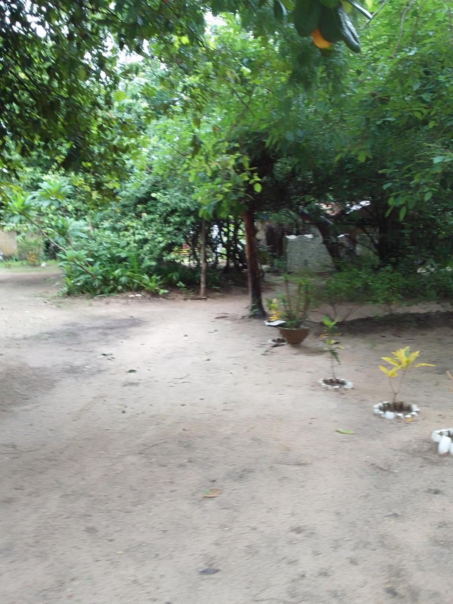 Little Baobab Bed and Breakfast Abémé Exterior foto